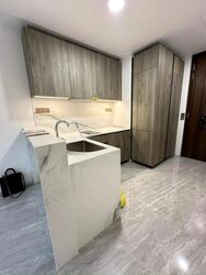 Leedon Green (D10), Condominium #483475361